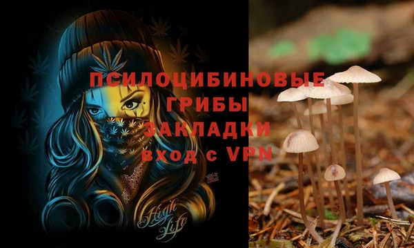 крисы Белоозёрский
