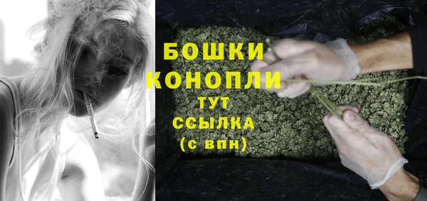 крисы Белоозёрский
