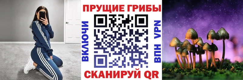 наркота  Благодарный  Псилоцибиновые грибы Cubensis 